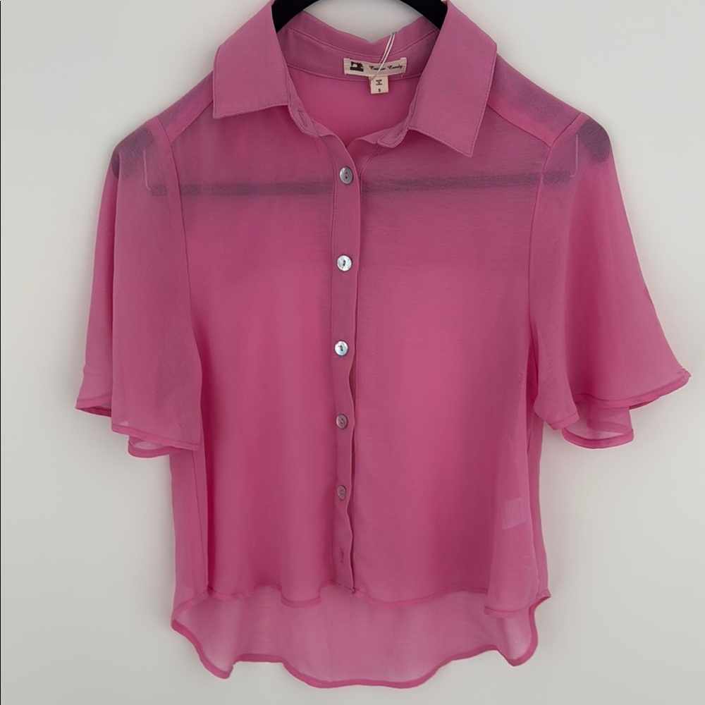Pink Sheer Button-Up Blouse